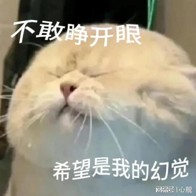 局5大产品差异化技巧全面拆解CQ9电子网站“价格战”破(图4)